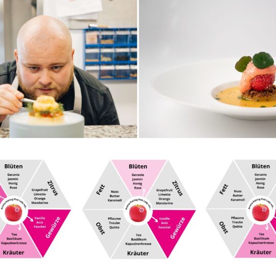 Pink Lady Apfel als Hauptdarsteller in der Avantgarde-Patisserie von Hannes Radeck: auch als DIY-Desserts für zu Hause