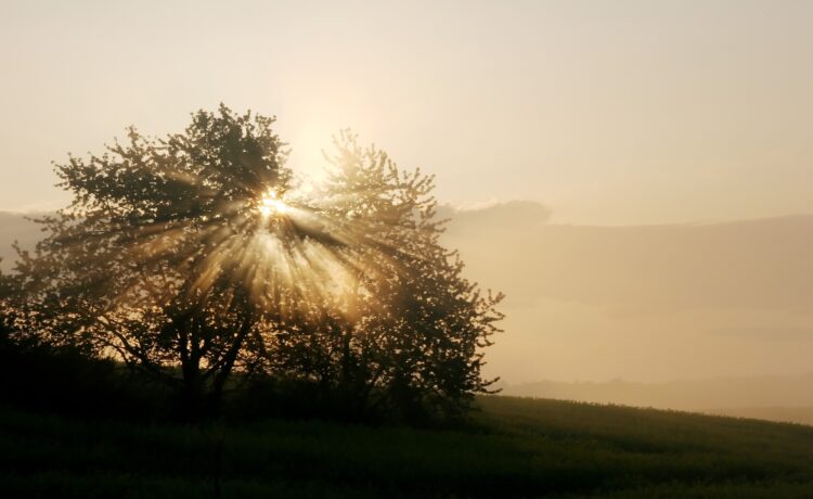 Die Perle am Muehlenteich - Ihr liebevolles Hotel-Restaurant in Hagenow
