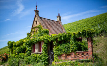 Tourismuszahlen 2022 bestätigen Aufwärtstrend - Heilbronn geht optimistisch in Urlaubsaison 2023