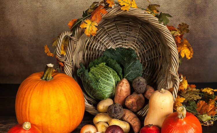 VeggieWorld vom 09. bis 10. November in München