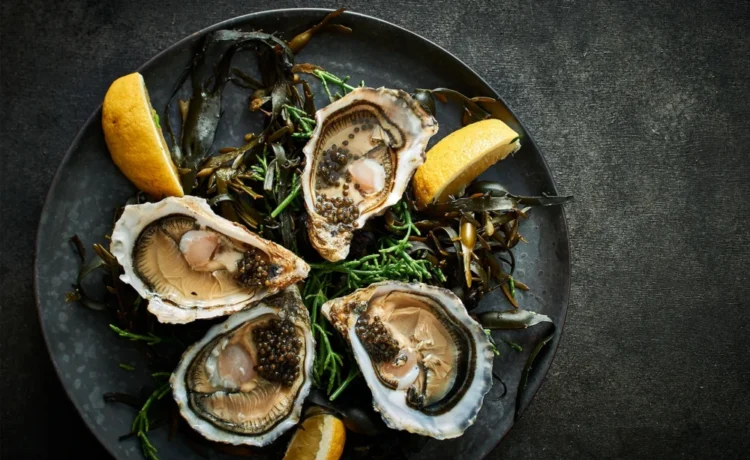 Angerichteter Teller mit vier Austern. Copyright: Transgourmet Deutschland GmbH & Co. OHG