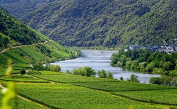 Beste Jungweine 2024: Der große DLG-Jahrgangs-Check