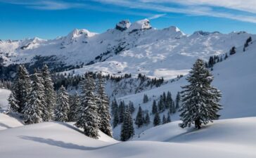 Festtage: Tourismusbranche meldet starkes Geschäft