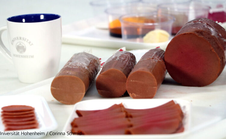 Vegane Fleischalternativen werden ein Thema beim 2. New Food Festival Stuttgart sein.Bildquelle: BS MAZimpel, Corinna-Schmid