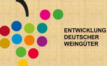 Weingüter verzeichnen Absatz- und Umsatzrückgänge