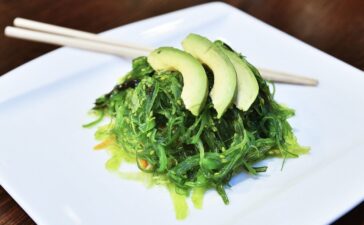 Algen: Das Superfood aus dem Meer – Nährstoffreich, nachhaltig und vielseitig einsetzbar