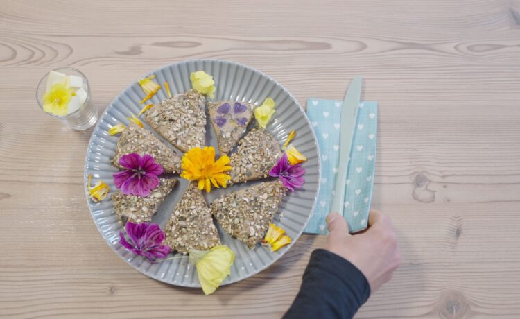 Fertige Vitalecken Urlaubambauernhof