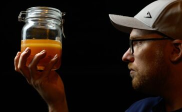 Kombucha-Variationen