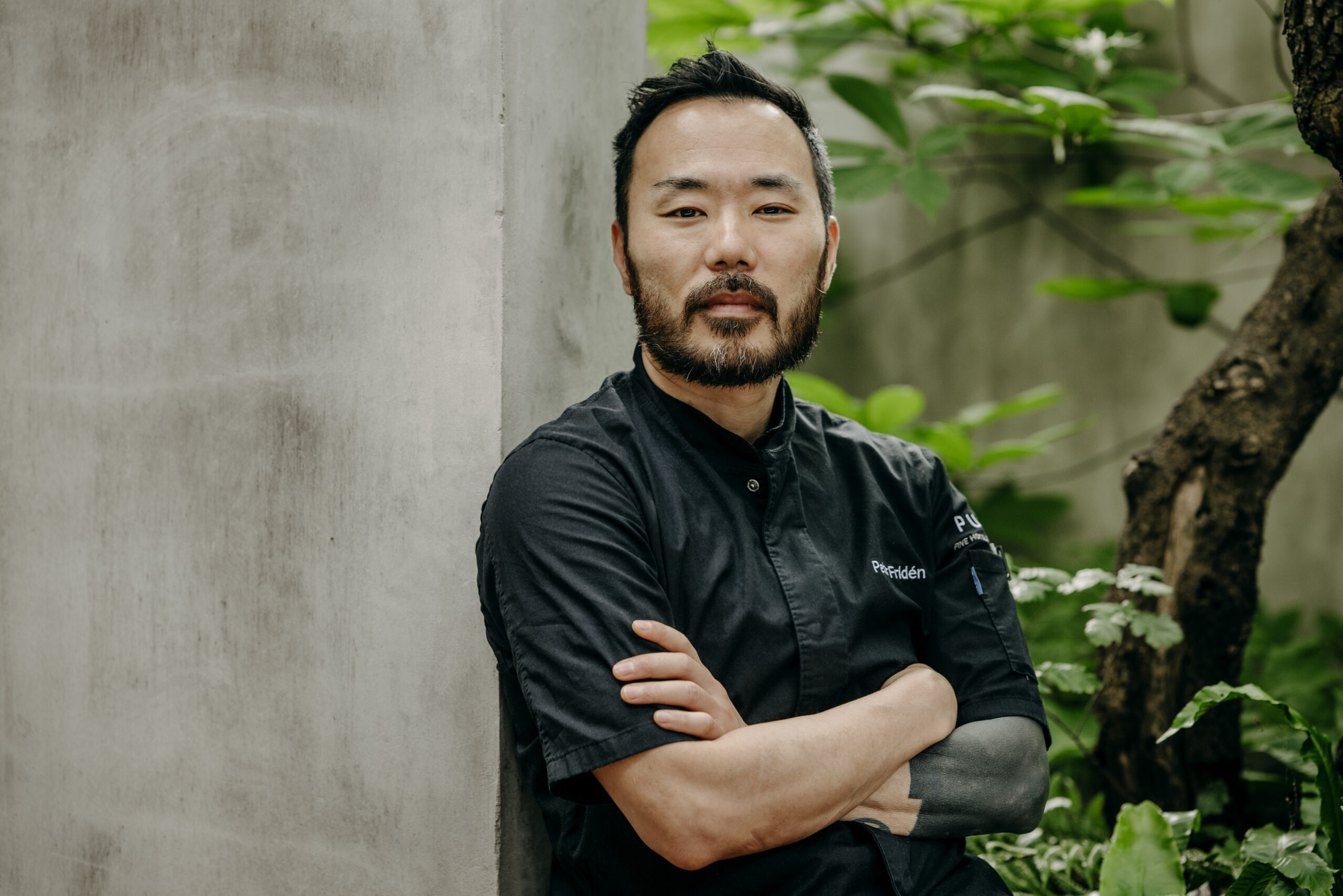 Peter Fridén - Koch