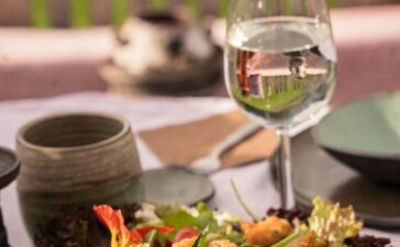 Die erste Schneckenfarm Tirols findet man in Ellmau. Dort wird die Kaiserschnecke gezüchtet. © TVB Wilder Kaiser/Jasmin Riegler