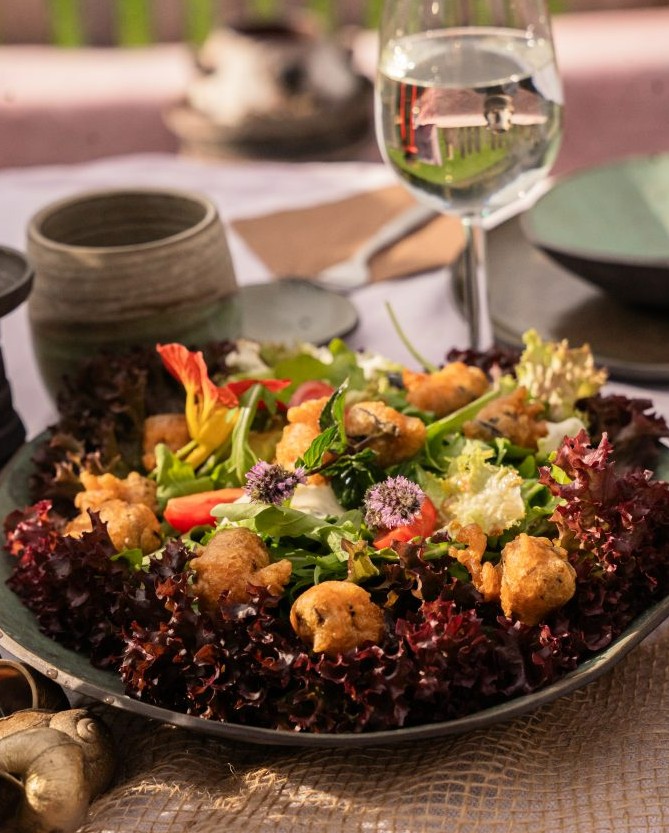 Die erste Schneckenfarm Tirols findet man in Ellmau. Dort wird die Kaiserschnecke gezüchtet. © TVB Wilder Kaiser/Jasmin Riegler