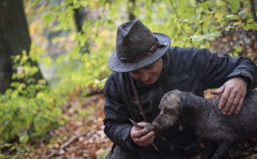 Simon Schauer, Trüffelbaron widmet sich seit über 12 Jahren der Welt der Trüffel.