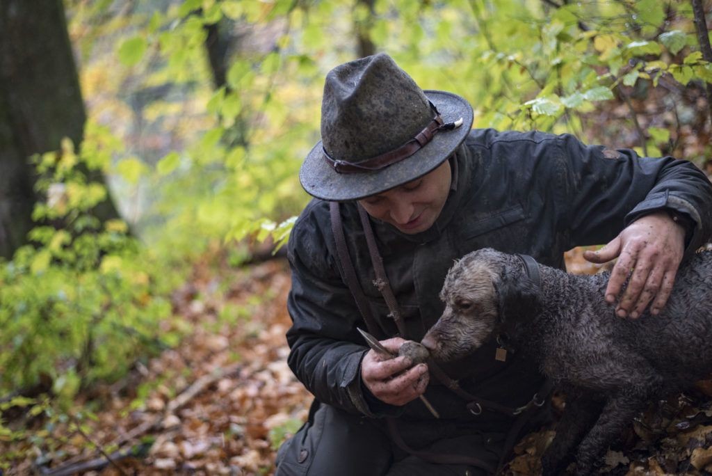 Simon Schauer, Trüffelbaron widmet sich seit über 12 Jahren der Welt der Trüffel.